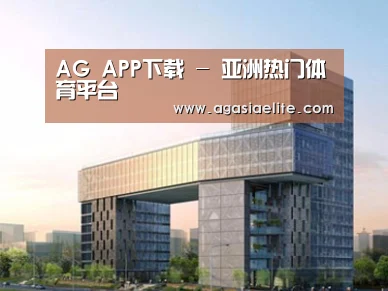 案例展示四