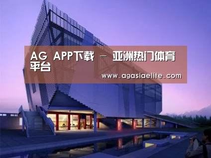 案例展示六